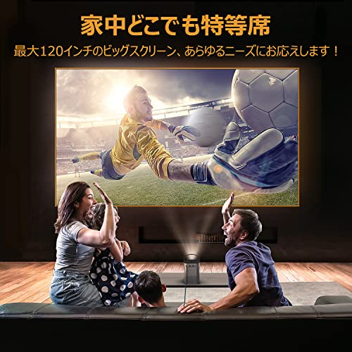 POKITTER Go Seriesレビュー：3万円台でNetflix公式ライセンス